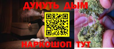 сатива Белореченск